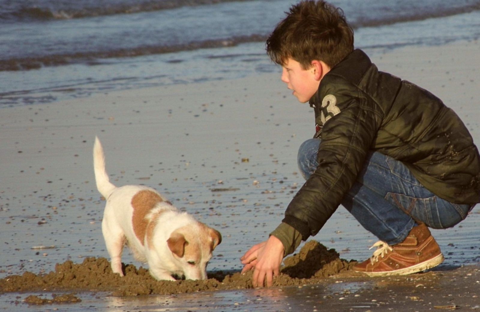 Camping waddenzee mit hund 2