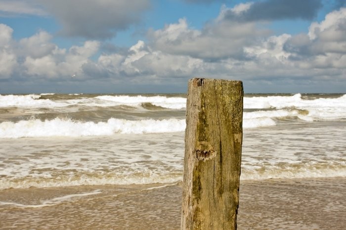 Vakantiehuis noord holland callantsoog 